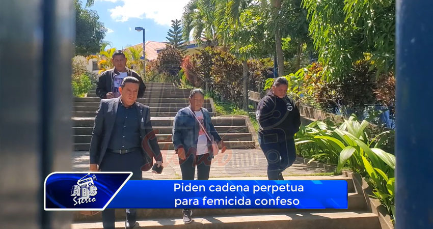 Piden cadena perpetua para femicida confeso