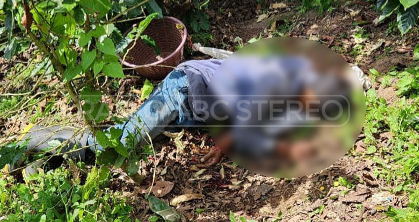 La víctima se encontraba cortando café cuando la rama se desprendió repentinamente y ocurrió la fatalidad.