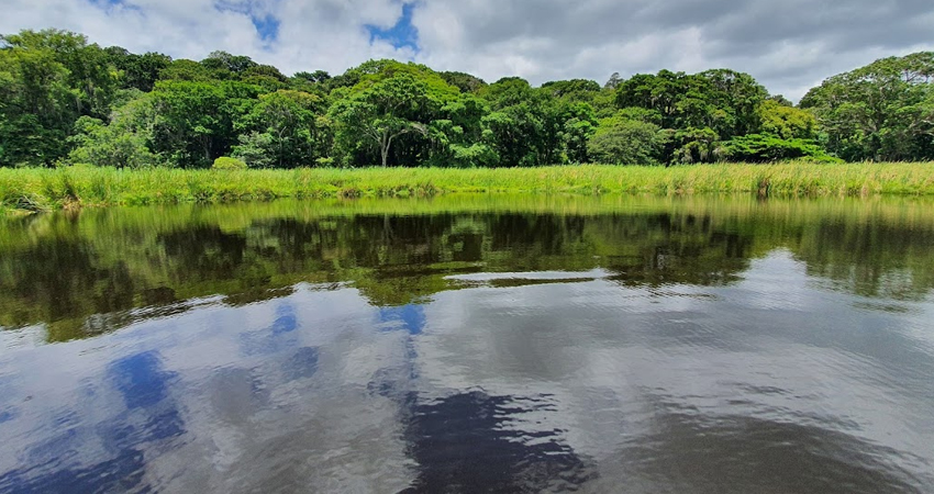 Laguna La Bruja. Foto: Cortesía