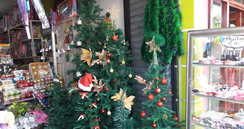 Árboles y luces es lo que más demanda tiene. Foto: José Enrique Ortega/Radio ABC Stereo