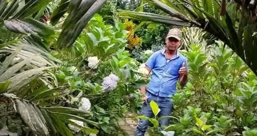Mientras Pedro Toledo laboraba en la construcción de una vivienda, una pared colapsó y cayó sobre él, causando la tragedia.