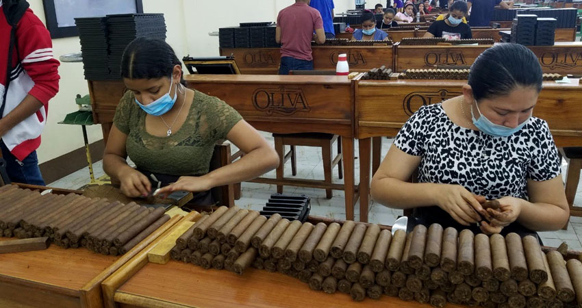 Gracias a la demanda hubo mayor contratación de mano de obra. Foto: Roberto Mora/Radio ABC Stereo Gracias a la demanda hubo mayor contratación de mano de obra. Foto: Roberto Mora/Radio ABC Stereo