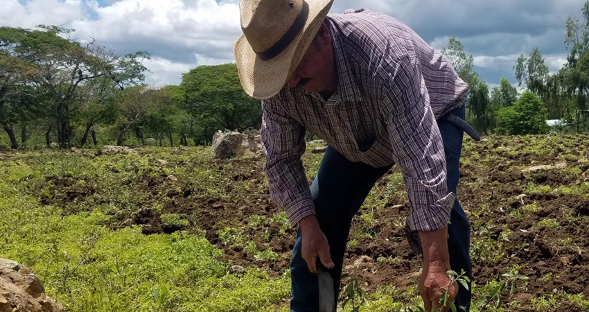 UNAG Estelí apoyará a pequeños productores. Foto: Archivo/Radio ABC Stereo