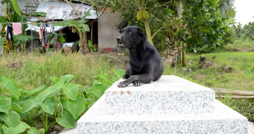 Imagen cortesía Imagen cortesía