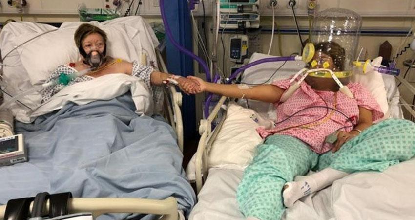 Imagen cortesía Imagen cortesía