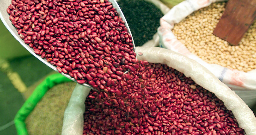 Entre 17 y 20 córdobas se cotiza la libra del frijol. Foto referencial.
