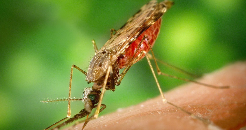 Imagen de referencia Imagen de referencia