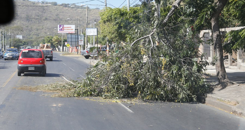 Vientos de hasta 75 kilómetros por hora se registrarán. Foto de referencia. Vientos de hasta 75 kilómetros por hora se registrarán. Foto de referencia.