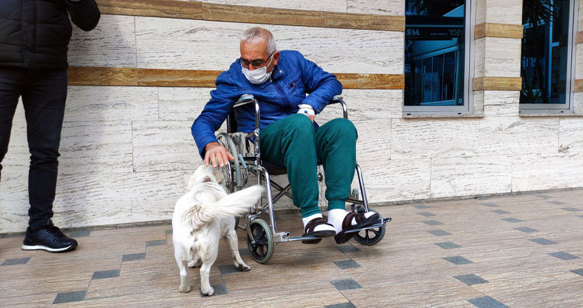 Boncuk llegaba todos los días a las 9 de la mañana a buscar a su dueño. Imagen: Cortesía. Boncuk llegaba todos los días a las 9 de la mañana a buscar a su dueño. Imagen: Cortesía.