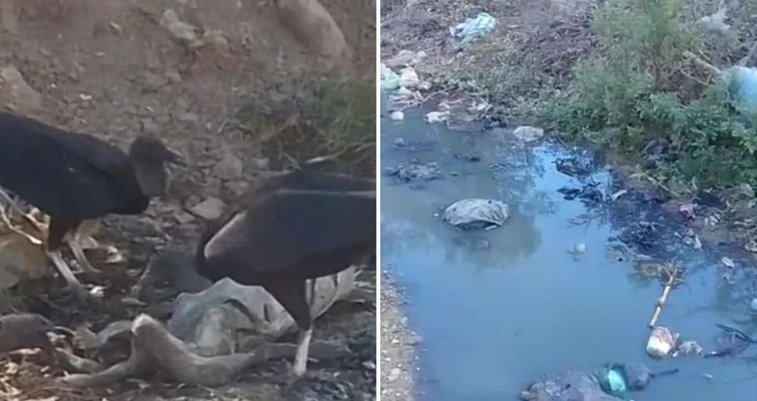Esperan la intervención de las autoridades, ante las problemáticas. Foto: Cortesía/Radio ABC Stereo