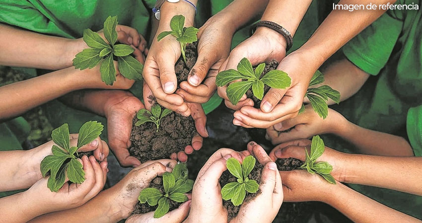 Celebran el Día Mundial de la Educación Ambiental. Foto: Imagen de referencia