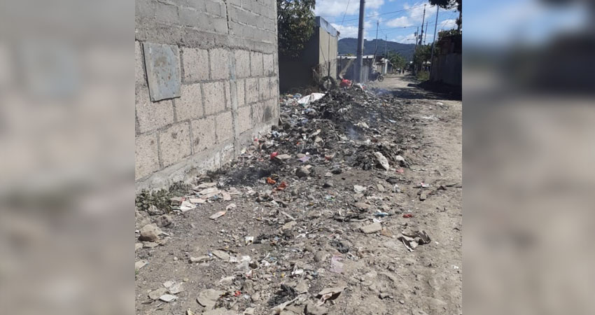 La pobladora hizo un llamado para que vecinos y dueños de solares tomen medidas. Foto: Cortesía/Radio ABC Stereo La pobladora hizo un llamado para que vecinos y dueños de solares tomen medidas. Foto: Cortesía/Radio ABC Stereo