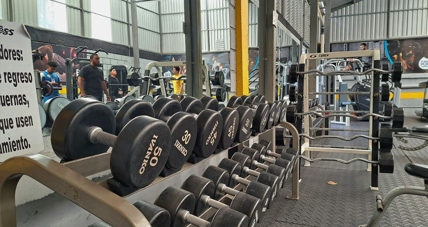 ¿Cómo mantener el hábito más allá de la motivación? Expertos comentaron sus claves. Foto: Redacción Digital/Radio ABC Stereo ¿Cómo mantener el hábito más allá de la motivación? Expertos comentaron sus claves. Foto: Redacción Digital/Radio ABC Stereo