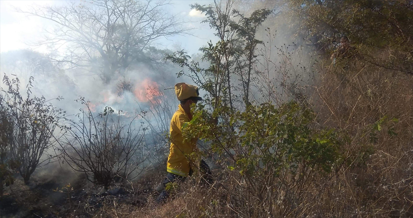 Incendio forestal en El Tular. Foto: Juan Fco. Dávila/Radio ABC Stereo Incendio forestal en El Tular. Foto: Juan Fco. Dávila/Radio ABC Stereo