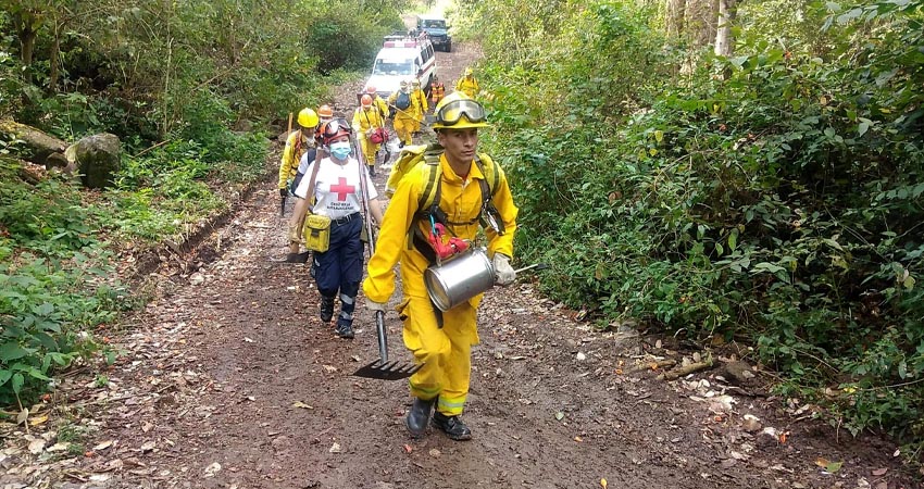 La práctica se realizó en Miraflor, Estelí. Foto: Juan Fco. Dávila/Radio ABC Stereo La práctica se realizó en Miraflor, Estelí. Foto: Juan Fco. Dávila/Radio ABC Stereo