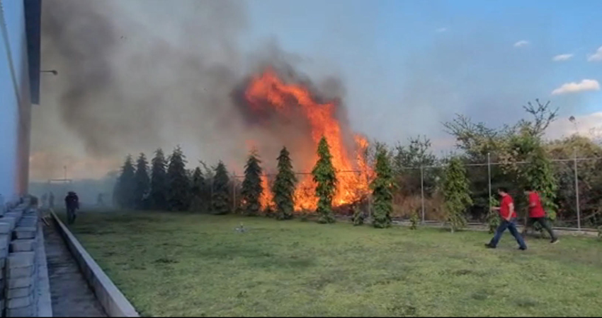 Brigadas de las empresas y bomberos lograron sofocar el fuego. Foto: Juan Francisco Dávila/Radio ABC Stereo Brigadas de las empresas y bomberos lograron sofocar el fuego. Foto: Juan Francisco Dávila/Radio ABC Stereo