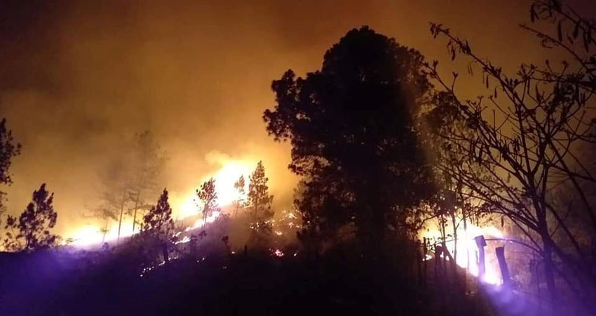 Trabajo en equipo contra los incendios. Imagen de referencia