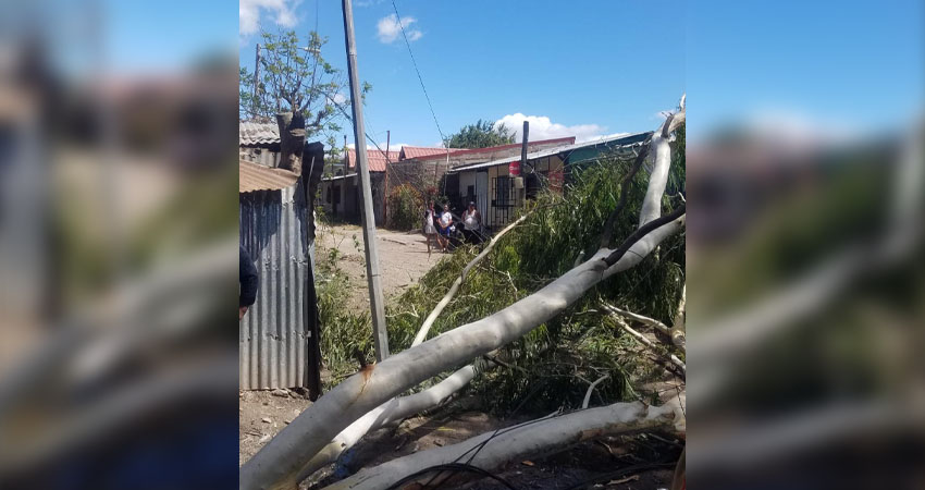 El incidente fue atendido por los bomberos. Foto: Juan Francisco Dávila/Radio ABC Stereo El incidente fue atendido por los bomberos. Foto: Juan Francisco Dávila/Radio ABC Stereo