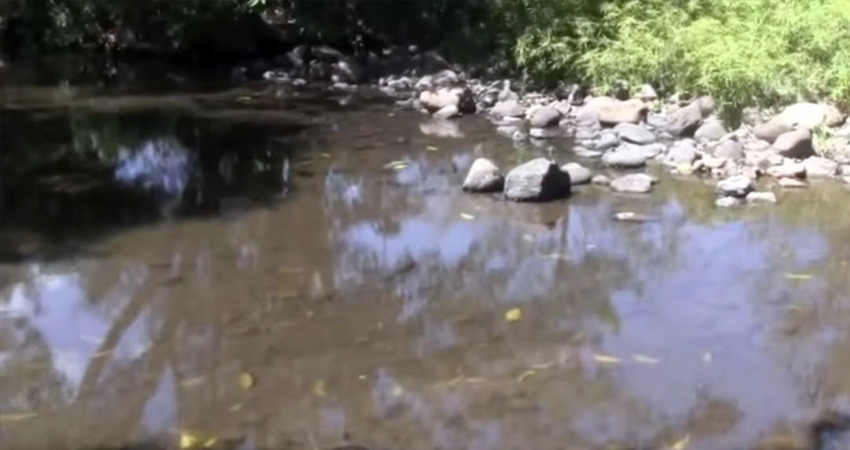 El río está siendo afectado por diversos factores. Foto: Juan Francisco Dávila/Radio ABC Stereo