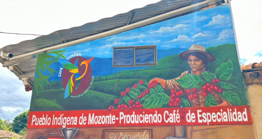 En la escena central, una mujer encarna el esfuerzo en la recolección en los cafetales. Foto: Cortesía En la escena central, una mujer encarna el esfuerzo en la recolección en los cafetales. Foto: Cortesía