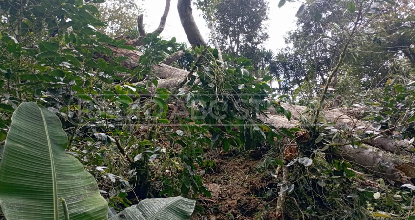 Las autoridades calificaron el suceso como muerte accidental. Foto: Cortesía/Radio ABC Stereo Las autoridades calificaron el suceso como muerte accidental. Foto: Cortesía/Radio ABC Stereo