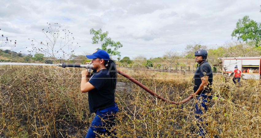 Bomberos acudieron para extinguir las llamas. Foto: Cortesía/Radio ABC Stereo Bomberos acudieron para extinguir las llamas. Foto: Cortesía/Radio ABC Stereo