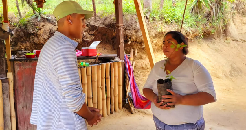 Se entregaron plantas frutales a las familias. Foto: Cortesía/Radio ABC Stereo Se entregaron plantas frutales a las familias. Foto: Cortesía/Radio ABC Stereo