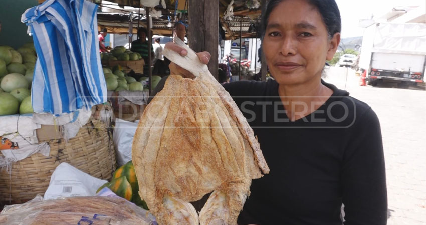 Comerciantes de pescado seco esperan aumento de ventas en esta temporada. Foto: Cortesía/Radio ABC Stereo Comerciantes de pescado seco esperan aumento de ventas en esta temporada. Foto: Cortesía/Radio ABC Stereo