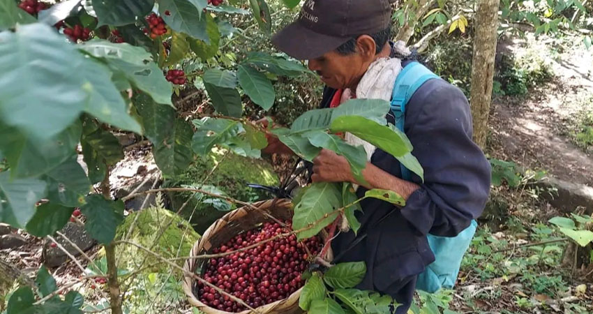 La mayoría de los trabajadores son del mismo municipio. Foto: Cortesía/Radio ABC Stereo La mayoría de los trabajadores son del mismo municipio. Foto: Cortesía/Radio ABC Stereo