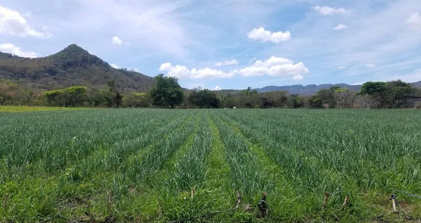 El incremento afecta los costos de producción. Foto: Roberto Mora/Radio ABC Stereo El incremento afecta los costos de producción. Foto: Roberto Mora/Radio ABC Stereo