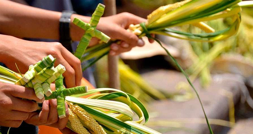 Durante las misas se bendecirán las palmas. Foto de referencia. Durante las misas se bendecirán las palmas. Foto de referencia.