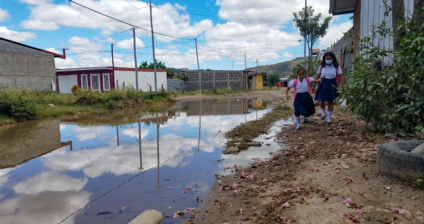 Una sola lluvia fue suficiente. Foto: Roberto Mora/Radio ABC Stereo Una sola lluvia fue suficiente. Foto: Roberto Mora/Radio ABC Stereo