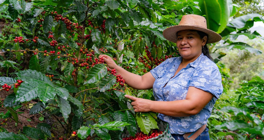 La compañía cuenta con políticas que favorecen la corresponsabilidad y el bienestar, como su Política de Apoyo Parental de 18 semanas pagadas al cuidador primario.
