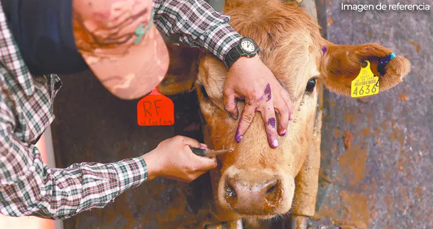 Dentro de su plan de prevención, el IPSA dispone de una línea telefónica para consultas. Foto de referencia