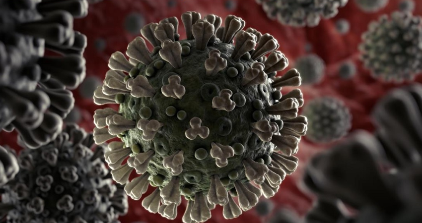 Imagen de referencia Imagen de referencia