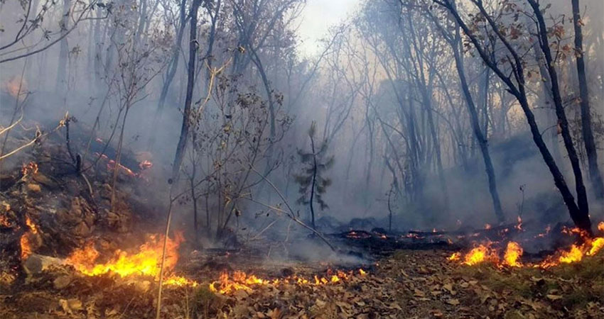 Hasta la fecha se contabilizan 123 incendios. Foto: Cortesía Hasta la fecha se contabilizan 123 incendios. Foto: Cortesía