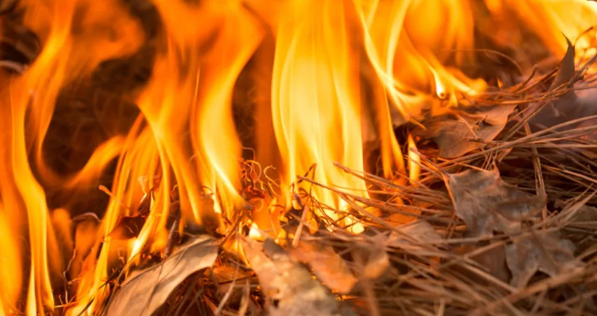 En Níger, para remediar la falta de escuelas, las autoridades construyen miles de cabañas de paja. Foto: Referencial En Níger, para remediar la falta de escuelas, las autoridades construyen miles de cabañas de paja. Foto: Referencial