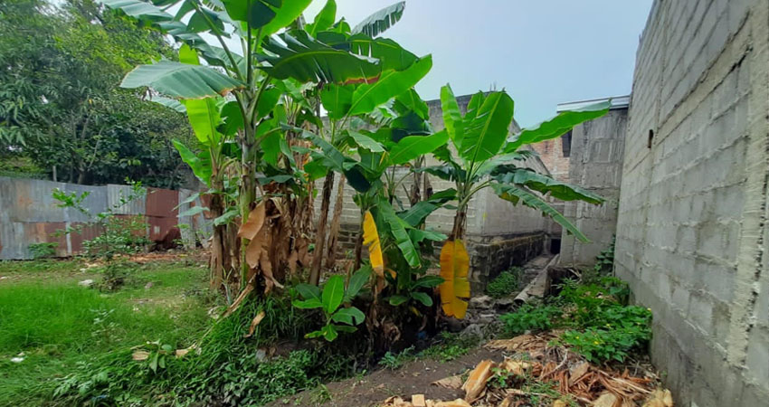 El cauce atraviesa propiedad privada. Foto: Famnuel Úbeda/Radio ABC Stereo