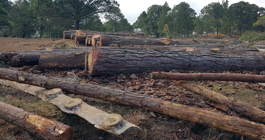 Las afectaciones se viven en varias localidades. Foto: Cortesía/Radio ABC Stereo Las afectaciones se viven en varias localidades. Foto: Cortesía/Radio ABC Stereo