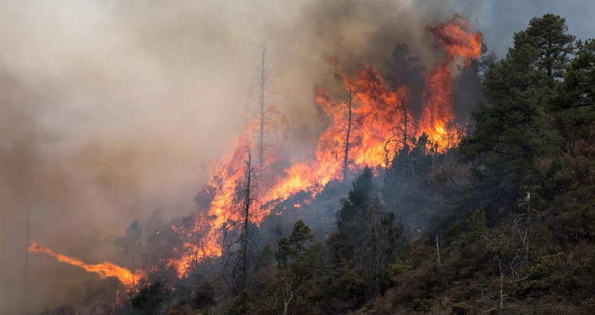 El siniestro se registra desde hace 4 días. Foto: Cortesía/Radio ABC Stereo El siniestro se registra desde hace 4 días. Foto: Cortesía/Radio ABC Stereo