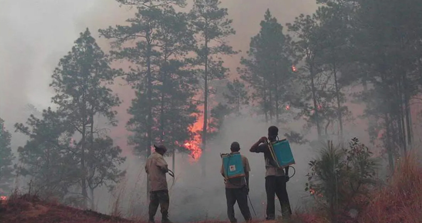 Los incendios ocasionan diversas afectaciones al planeta y, por ende, a la humanidad. Imagen de referencia Los incendios ocasionan diversas afectaciones al planeta y, por ende, a la humanidad. Imagen de referencia