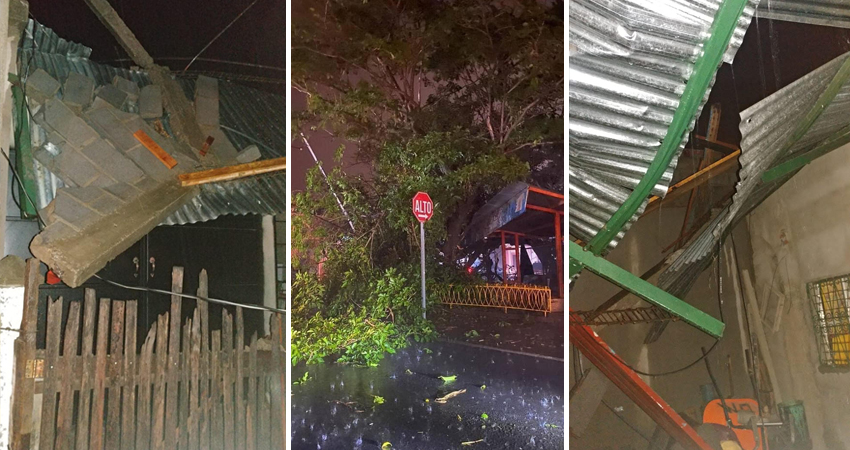 Vivienda afectada en La Comuna y árbol caído en el Parque Infantil. Foto: Cortesía/Radio ABC Stereo Vivienda afectada en La Comuna y árbol caído en el Parque Infantil. Foto: Cortesía/Radio ABC Stereo