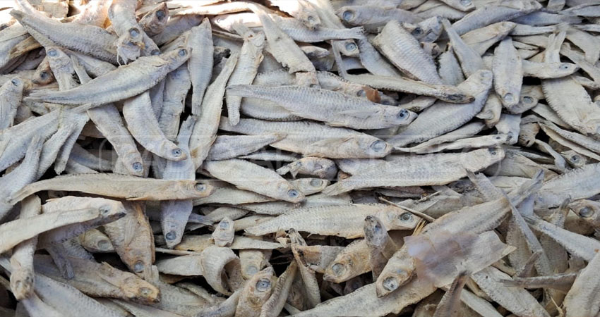 El pescado seco ha aumentado precio en Estelí. Foto: Famnuel Úbeda / Radio ABC Stereo