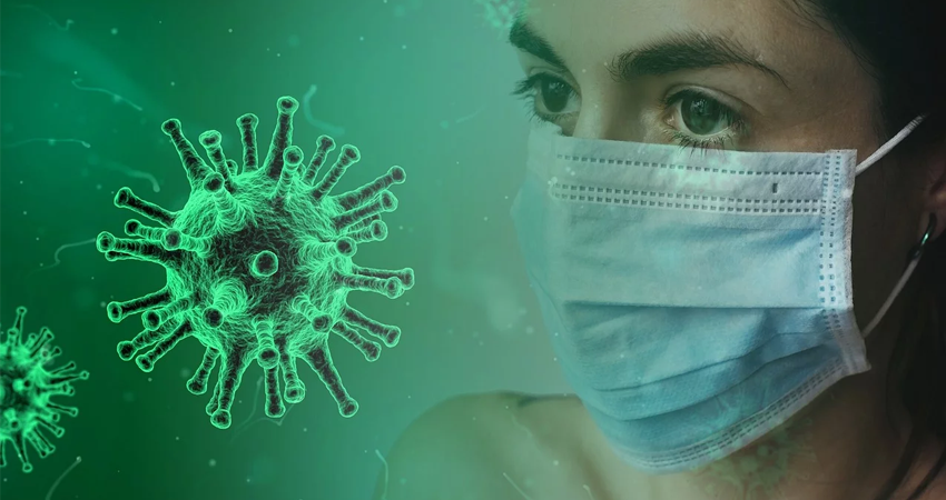 Imagen de referencia. Imagen de referencia.