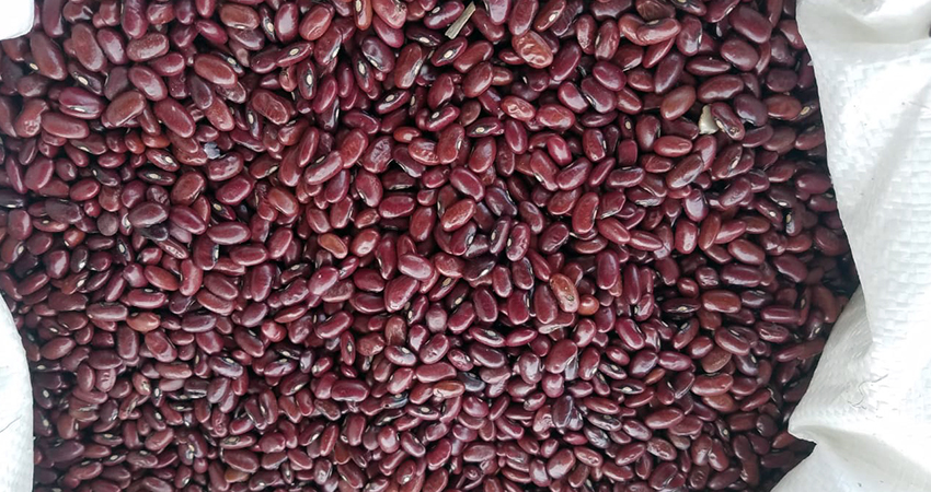 Entre 20 y 23 córdobas por libra se cotiza el frijol en el mercado Alfredo Lazo. Foto: Roberto Mora/Radio ABC Stereo Entre 20 y 23 córdobas por libra se cotiza el frijol en el mercado Alfredo Lazo. Foto: Roberto Mora/Radio ABC Stereo