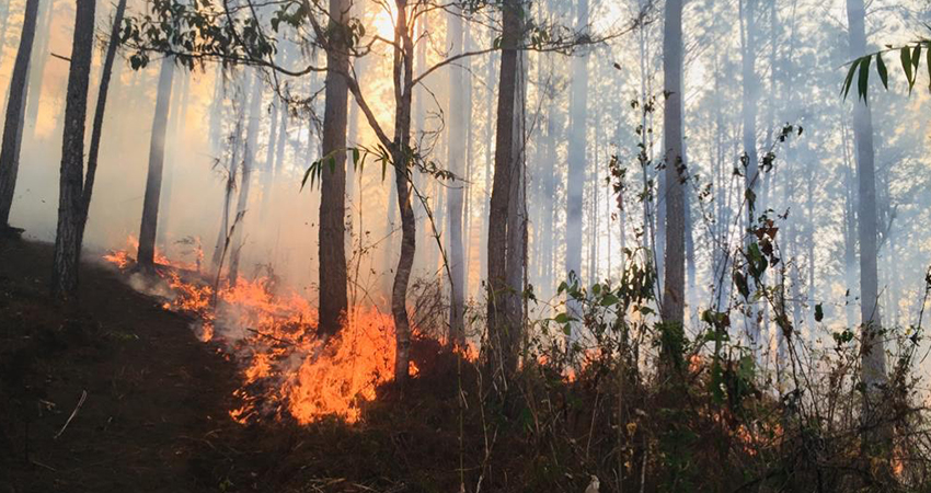 El incendio surgió por quema de basura, según denunciantes. Foto: Alba Nubia Lira/Radio ABC Stereo