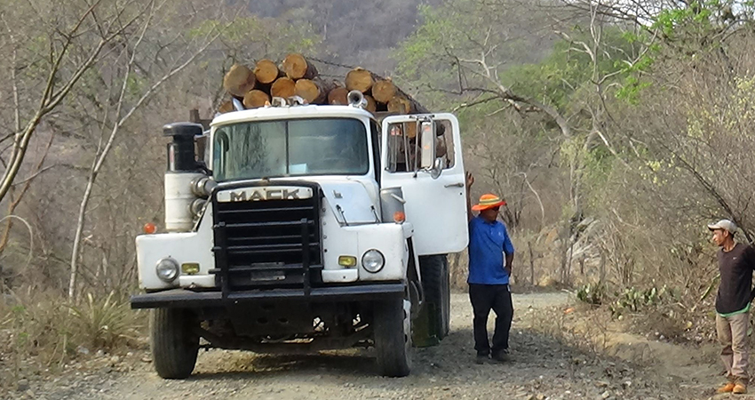 Pobladores demandan el cese de los despales. Foto: Cortesía/Radio ABC Stereo Pobladores demandan el cese de los despales. Foto: Cortesía/Radio ABC Stereo