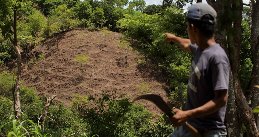 Imagen de referencia Imagen de referencia