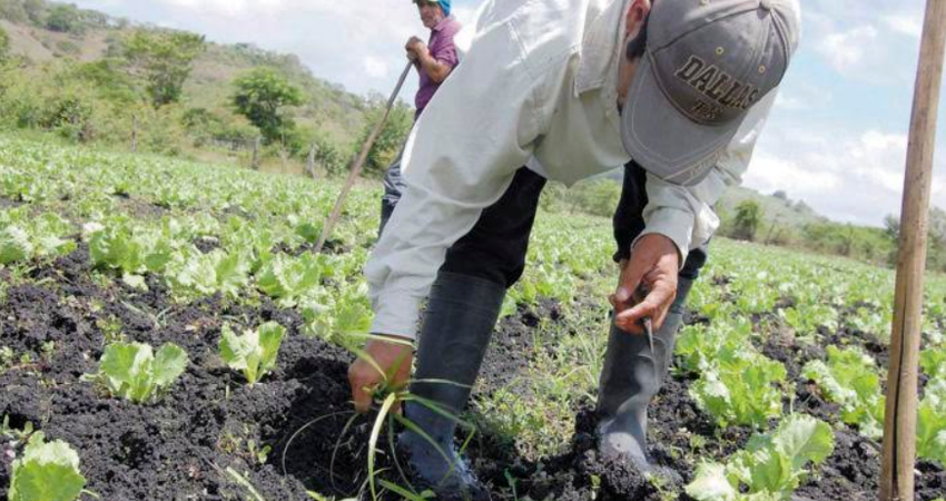 Imagen de referencia. Imagen de referencia.