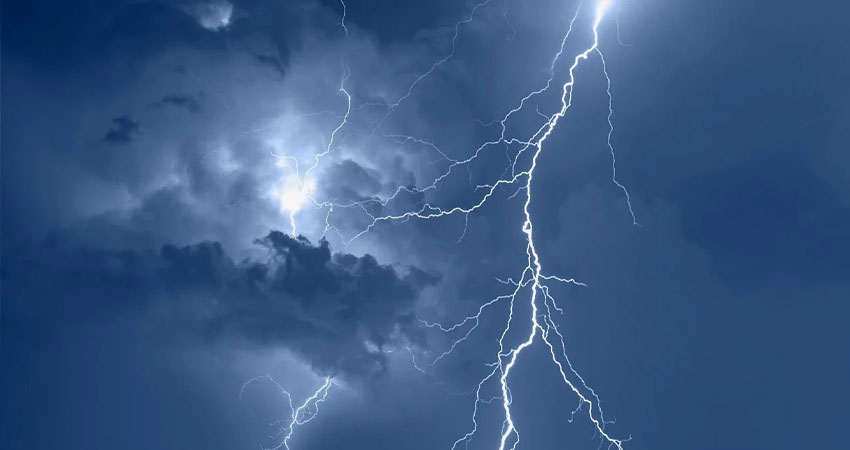 Imagen de referencia